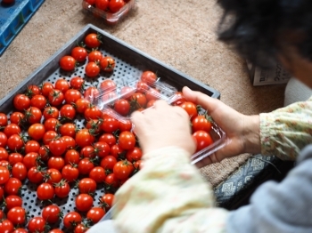 味も見た目の良いものだけをパックにつめて、発送します。