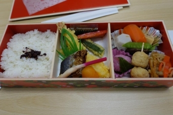 色とりどりのお弁当