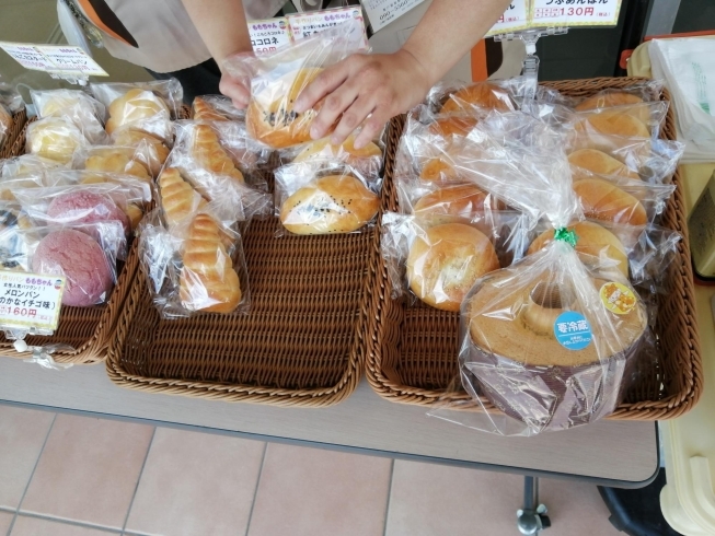 色々なパンが勢揃い②「愛情たっぷり美味しいパンを販売しています(^_^)///　　（平和橋自動車教習所）」