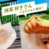 『豆腐工房うえ田』さんの抹茶豆乳モナカが優勝すぎた件!【京都市西京区 大原野】