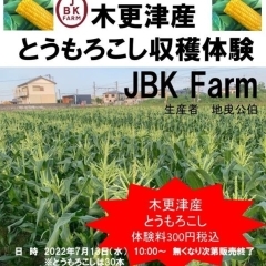 <木更津市>7/13 (水) 木更津逸品市「木更津産とうもろこし収穫体験」開催【かずサーチ】