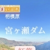 ■紅葉特集■【宮ケ瀬ダム周辺の紅葉】ダムの上から見る紅葉は絶景!