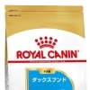 RC BHN ダックスフンド 子犬 1.5kg
