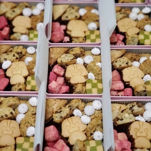 「四街道木の実のおやつとのコラボレーション「4周年Anniversaryクッキー缶」がついにオンラインで販売開始！」