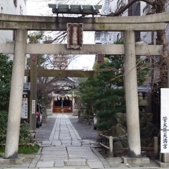 菅大臣神社（菅大臣天満宮）の梅