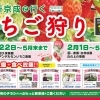 いちご狩りの季節がやってきました! 新京成線でいちご狩りに出かけましょう!
