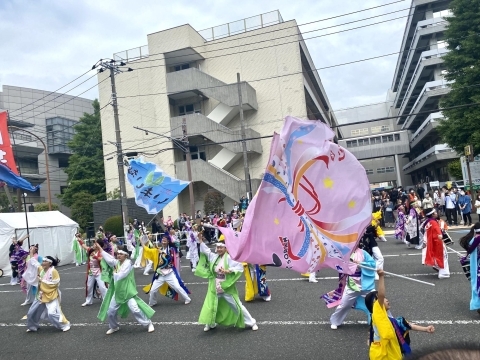 よさこい