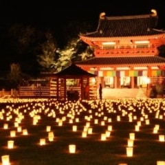 新年の干支が万燈の灯と共に浮かぶ「奈良薬師寺東関東別院　慈母観音　潮音寺」