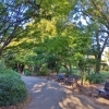 『梅小路公園』いのちの森でプチ森林浴