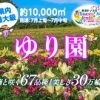 【東京ドイツ村】フラワーフェスティバル