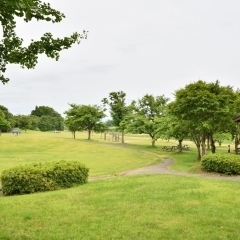 黒沢川せせらぎ公園