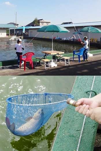 子どもから大人まで、釣りを気軽に楽しめます「成田養魚園」