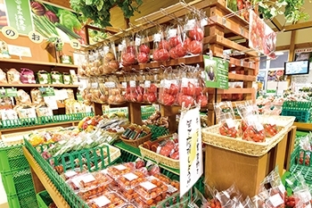 道の駅木更津うまくたの里 農産物直売所