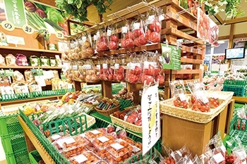 道の駅木更津うまくたの里　農産物直売所