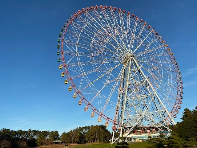 「初日の出　絶景ポイント！　葛西臨海公園から眺める初日の出」