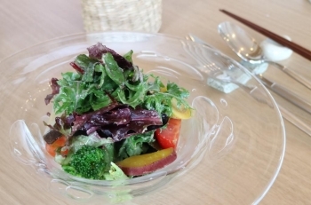 県産野菜の新鮮サラダ<br>大根やにんじんもカラフルで、目でも楽しめるサラダです。