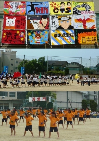 「運動会・体育祭　の季節ですね！！　みんないい顔してましたよ(*^。^*)　　（寝屋川　運動会　体育大会　体育祭）」