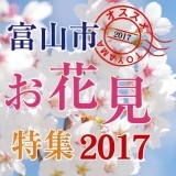 【富山の地元情報】富山市　オススメお花見スポット特集2017