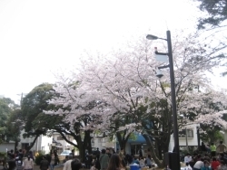 今年も沢山見れました～！