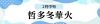 哲多冬華火