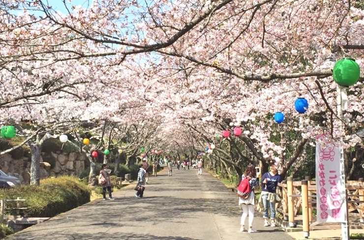 ※現在の写真ではありません。