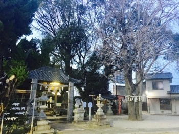 春日神社全体