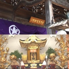 伝説のヒロイン “真間の手児奈”を祀る 「手児奈霊神堂」