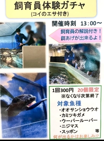 「イベントのお知らせ🐟かすみがうら市水族館は遊んで学べる体験・観光スポット⛲️」