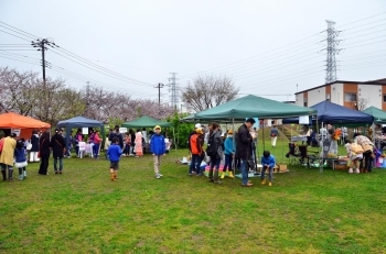 公園の緑がきれい♪