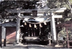 萱田・飯綱神社の鳥居の笠木、島木、扁額落下前