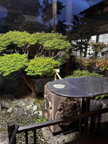 夜の庭でノッキーカフェ「まいぷれ津松阪掲載店　まきの木様ご紹介！」