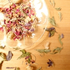 締め切りは7日!『かわいい!お庭のハーブでつくるポプリつくりの会』メディカルハーブ in +1(プラスいち)