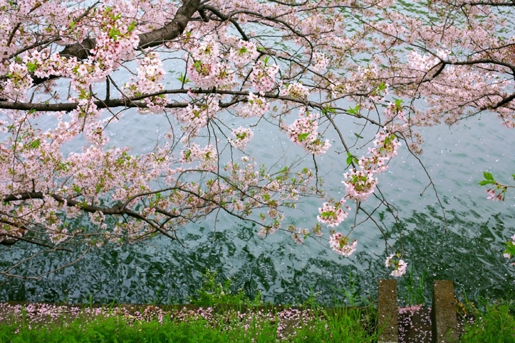 気持ちまで　ゆったりと　穏やかに　なっていく　風景<br>