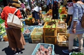 野菜販売