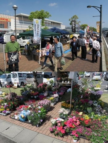 夏目漱石ゆかりの地・日乃出醤油小泉醸造元さん！<br>母の日らしく、カーネーションもいっぱい！