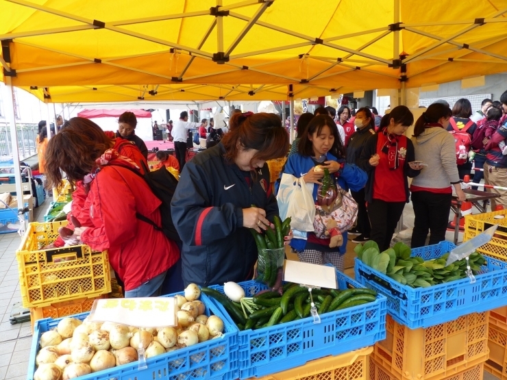 道の駅玉造「こいこい」の行方市新鮮野菜の袋詰め放題は大人気！