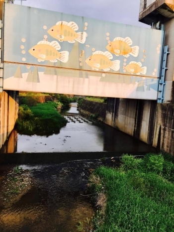 魚の通り道「魚道」