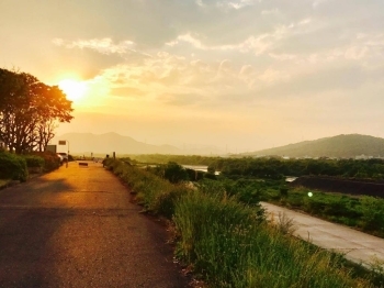 加古川夕日