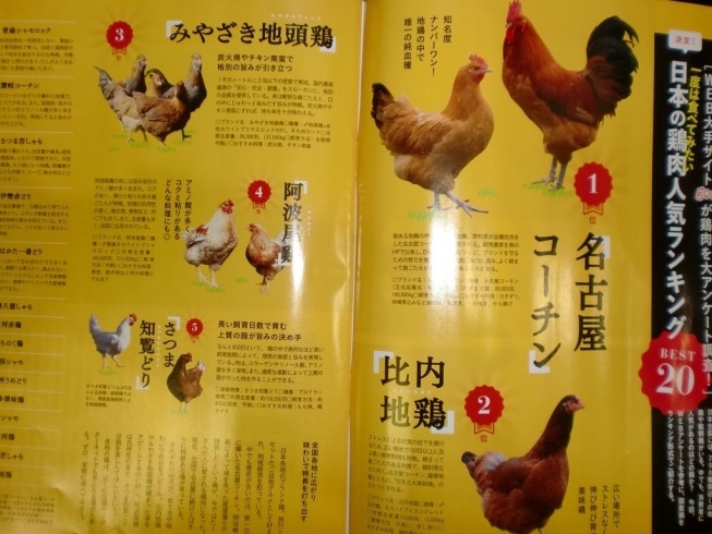 「一度は食べてみたい日本のブランド鶏肉人気ランキングBEST２０全国５位に選ばれました」