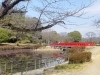 さいたま市 岩槻城址公園