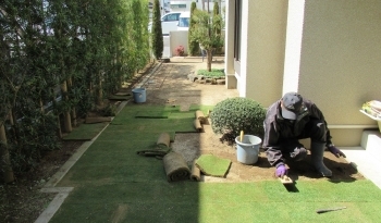 砂床の上に芝を植えこんでいきます。ロール状になって運ばれた芝を均一の大きさで敷き詰めていきます。