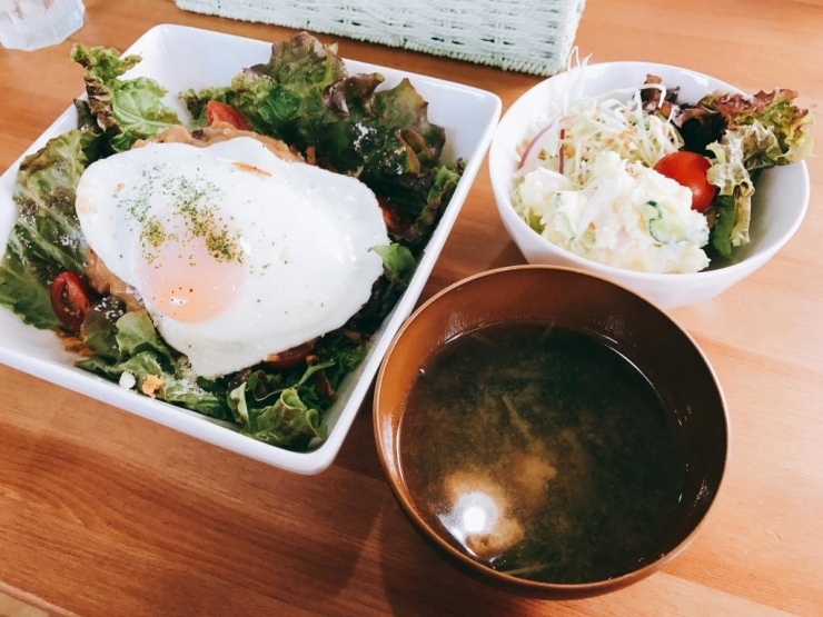 日替わりランチ700円　メイン+サラダ+お味噌汁