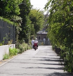 バスの場所を聞いたけど「配達じゃないからわからない、ごめんなさい」と去っていった郵便やさん。
お仕事中お邪魔してすいませんでした。