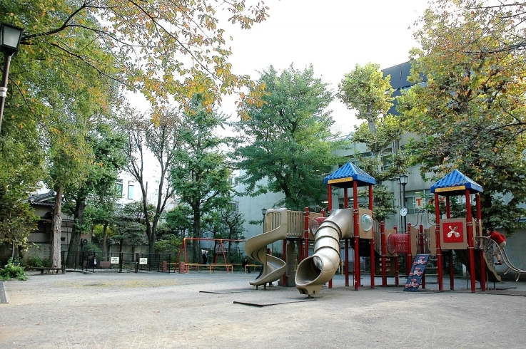 「三栄公園」大きな複合遊具が人気の公園