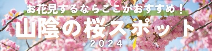 花見におすすめの！山陰（島根・鳥取）の桜スポット2024年