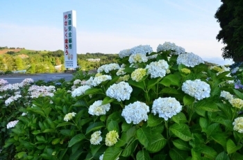 この看板が目印です