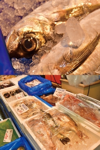 当日水揚げされた新鮮な魚は、その日のうちに店頭に並びます！「タカトヨ 日高店」