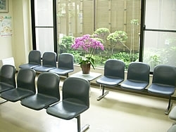 通院時に癒される花のある待ち合い室「医療法人社団 仁績会 玉井医院」