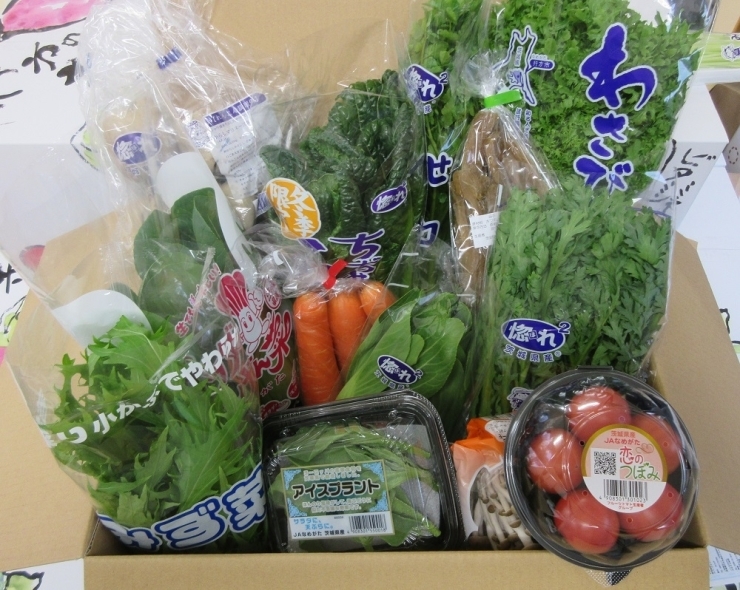 採用者全員に「JAなめがた　彩り野菜BOX」を贈呈致します。<br>※写真はイメージです。季節によりお野菜の内容は変わります。