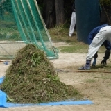 旧六中グラウンド除草講習